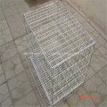 Cage pour chien oiseau en acier inoxydable